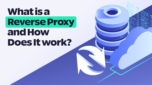 What is a Reverse Proxy and How Does It Work?